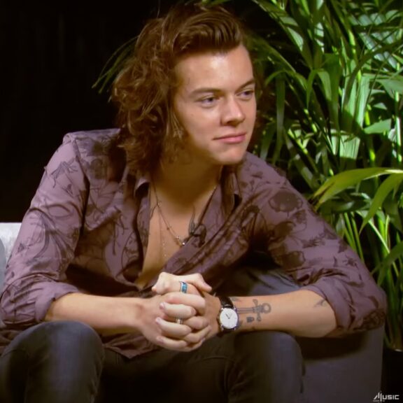 Harry styles